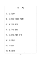[라틴아메리카문화] 탱고 TANGO-2