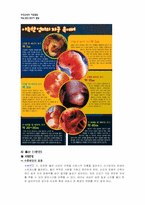 [아동발달] 태교, 임신, 영유아 신체 발달-9