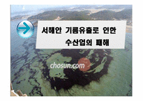 서해안 기름유출로 인한 수산업의 패해-1