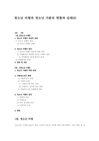 청소년 비행과 청소년 가출의 현황과 실태00-1