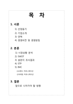 [소비자행동론] 대구은행의 국민 브랜드로 성장하기 위한 전략-2