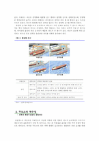 [기술혁신과 경제] 무도크 육상건조 - 불확실성을 중심으로-6