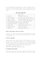 [패션마케팅] ZARA의 글로벌 마케팅 전략-7
