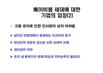 [인적자원관리] 베이비붐 세대의 인사관리-기업 인사관리상의 문제점 및 선진국 극복사례-5