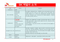 [경제학] SK텔레콤 재무분석(~2009) 및 차별화 마케팅 전략-3