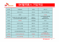 [경제학] SK텔레콤 재무분석(~2009) 및 차별화 마케팅 전략-4
