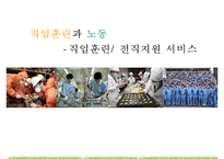 [기업사회학] 직업훈련과 노동 - 직업훈련, 전직지원 서비스-1