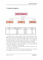 [마케팅 전략] 박카스 마케팅 전략 및 광고기획-11