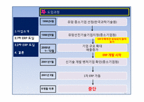 [디지털 경영] ERP 도입 성공, 실패사례 -(주) 잉크테크-12