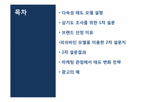 [소비자행동] 피쉬바인 다속성 태도 모델을 이용한 태도 측정-2