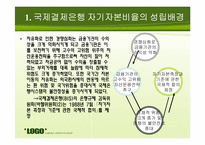 [국제금융 및 수지론] 국제결제은행(BIS) 자기자본 비율과 바젤 협약-6