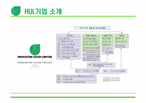 [국제마케팅] 해외 사회적 기업 - 힌두스탄 유니레버(Hindustan Unilever) Fair & Lovely 광고 사례 분석-6