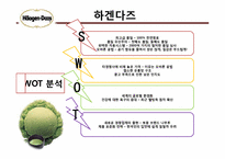 [국제경영전략] 베스킨라빈스&하겐다즈 경영전략비교-9