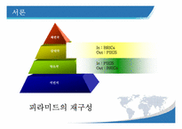 [국제정세의 이해] 브릭스 BRICs, 피그 PIIGS 유럽의 몰락, 신흥국들의 부상 그리고 우리나라의 행보-5