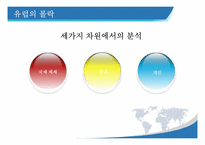 [국제정세의 이해] 브릭스 BRICs, 피그 PIIGS 유럽의 몰락, 신흥국들의 부상 그리고 우리나라의 행보-6