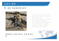 [국제정세의 이해] 브릭스 BRICs, 피그 PIIGS 유럽의 몰락, 신흥국들의 부상 그리고 우리나라의 행보-10