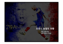 [협동조합론] 서유럽의 농업협동조합-프랑스, 네덜란드, 독일, 영국-9