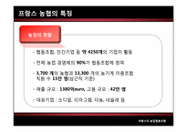 [협동조합론] 서유럽의 농업협동조합-프랑스, 네덜란드, 독일, 영국-11