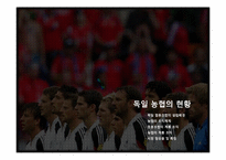[협동조합론] 서유럽의 농업협동조합-프랑스, 네덜란드, 독일, 영국-15