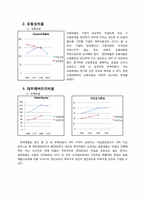 [재무관리] 현대 제철 재무 분석(~2009)및 권고-7