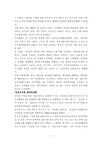 [보건행정] 의약분업에 대한 정부의 입장-6