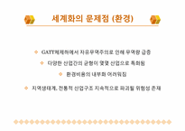 [정치와 사회] 현재 세계화의 방향과 문제점-12