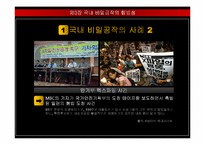 [국가정보학] 비밀공작의 합법성 논란-17