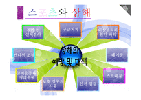 [인간과 의학] 스포츠와 상해(예방 및 대책)-12