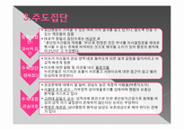 [정책학] 코브와 엘더의 정책의제 설정모형에 따른 혼인빙자 간음죄 폐지-4