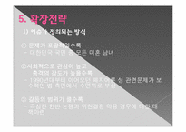 [정책학] 코브와 엘더의 정책의제 설정모형에 따른 혼인빙자 간음죄 폐지-13