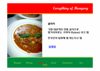 [동유럽문화] 헝가리의 역사와 문화-6