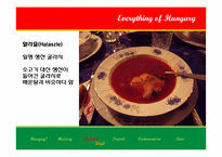 [동유럽문화] 헝가리의 역사와 문화-7