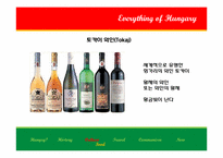 [동유럽문화] 헝가리의 역사와 문화-8