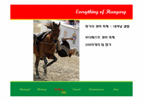 [동유럽문화] 헝가리의 역사와 문화-13