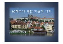 [동유럽 문화] 체코의 정치, 역사, 사회와 문화-3