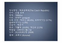 [동유럽 문화] 체코의 정치, 역사, 사회와 문화-4