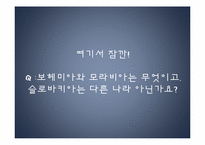 [동유럽 문화] 체코의 정치, 역사, 사회와 문화-7