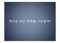 [동유럽 문화] 체코의 정치, 역사, 사회와 문화-8