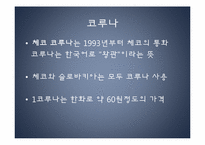 [동유럽 문화] 체코의 정치, 역사, 사회와 문화-11