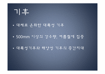 [동유럽 문화] 체코의 정치, 역사, 사회와 문화-16