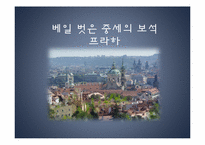 [동유럽 문화] 체코의 정치, 역사, 사회와 문화-19