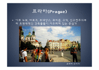 [동유럽 문화] 체코의 정치, 역사, 사회와 문화-20