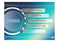 [세계화와 사회변화] 대중언론과 방송 인터넷-미디어법의 문제와 해외사례 조사-2