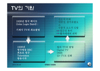 [세계화와 사회변화] 대중언론과 방송 인터넷-미디어법의 문제와 해외사례 조사-5