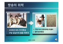 [세계화와 사회변화] 대중언론과 방송 인터넷-미디어법의 문제와 해외사례 조사-14