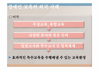 [장애인복지론] 장애인 교육의 현주소 - `장애인 등에 대한 특수교육법` 을 중심으로-8