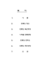 [한국문화정보학] 한국문화의 세계화 양상과 한류-2