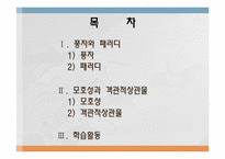 [시가교육론] 풍자와 패러디-모호성과 객관적 상관물-2