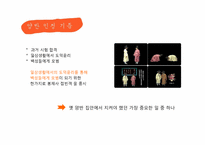 [인문학] 한국의 전통문화-봉제사와 접빈객-3