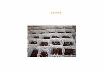 [인문학] 한국의 전통문화-봉제사와 접빈객-16